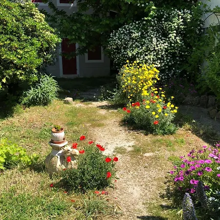 Maison De Charme Classee 3 Etoiles - Calme, Jardin, Salle De Sport, Piscine * Marseille