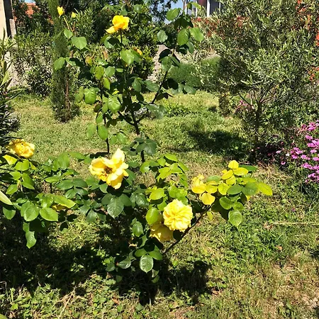 Maison De Charme Classee 3 Etoiles - Calme, Jardin, Salle De Sport, Piscine Holiday home *