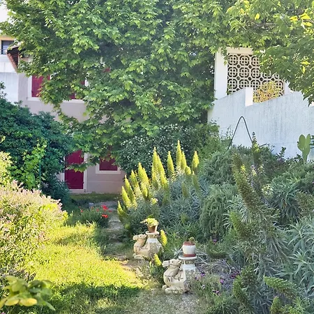 Maison De Charme Classee 3 Etoiles - Calme, Jardin, Salle De Sport, Piscine * Marseille