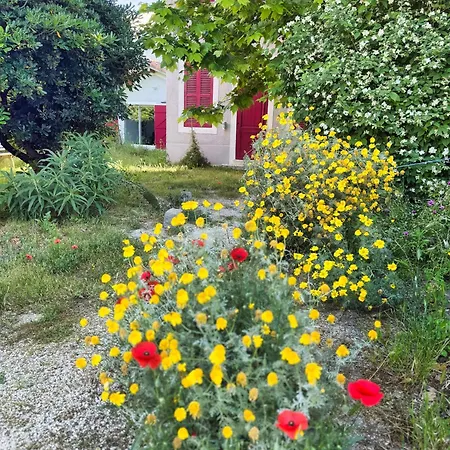 Maison De Charme Classee 3 Etoiles - Calme, Jardin, Salle De Sport, Piscine * Marseille